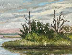 Intercoastal