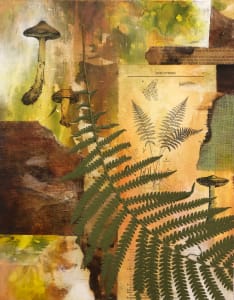 Forest Treasures:  Fern and Fungus