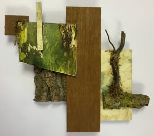 Moss Bark Assemblage