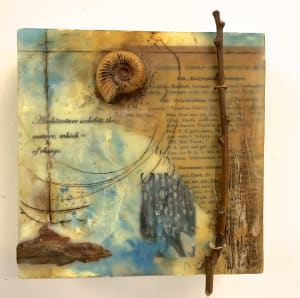 Ammonite Architecture