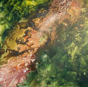 Will the Forest Recover