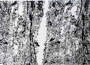 Deborah Jafif.  Waterfall series.
