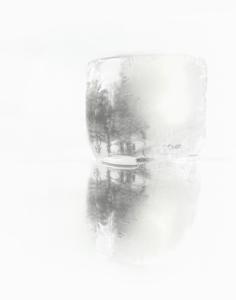 Ines Temperley _ Forest I