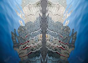 Liliana Antonow _ Reflection #1