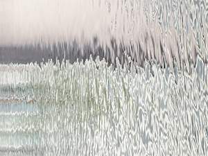 Liliana Antonow _ Reflection #8