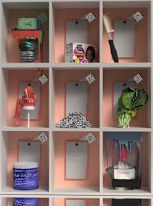 The Specimen Project