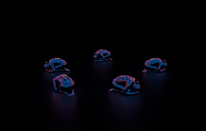 Prayers in the Void