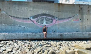 Vanishing Pink Manta Ray