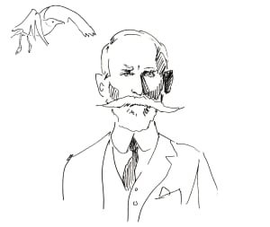 Jonathan Dwight, gull taxonomist