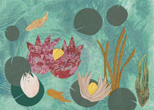 Lily Pond