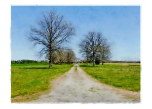Long Driveway, Virginia
