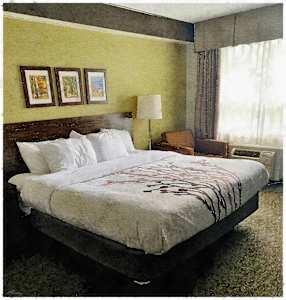 Sleep Inn, Saulte Ste Marie, Ontario