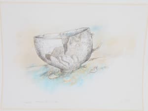 Fragmented Cup