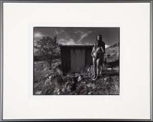 New Mexico