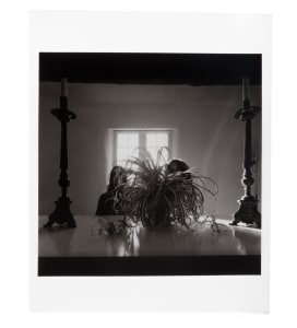 Friends, Light and Plant