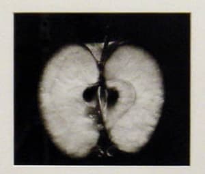 Half an Apple