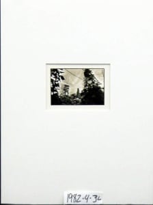 The Garden Series #11