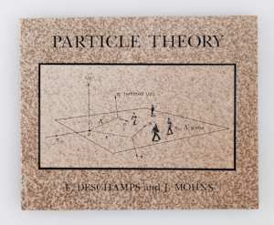 Particle Theory