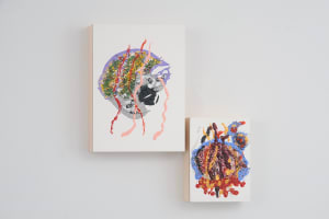 Amoeba Mommy La Te Do