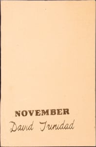 Untitled (Wall Shelf- "November" by David Trinidad)