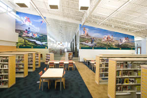 The Free-Form Flight of Lifelong Learning