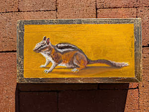 Solid Gold (chipmunk)