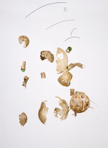 Relicta Mundos