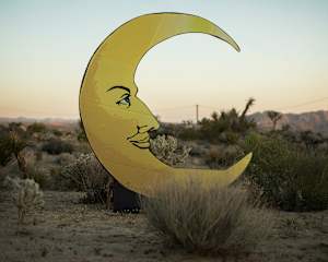 Paper Moon, Joshua Tree