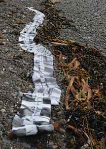 Tide Charts