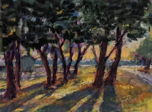 Shadows and trees