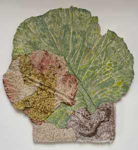 Leaves, Cosmos, Okras, Snake