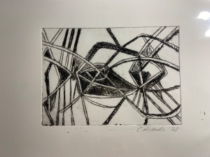 Drypoint Mangrove