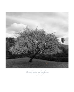 Beside States Of Confusion