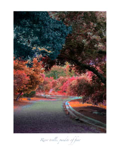 River trolls, pundits of fear