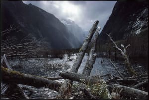 Milford Trek, New Zealand, 1991