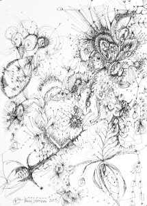 Wild Garden
