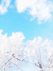 Winter Light