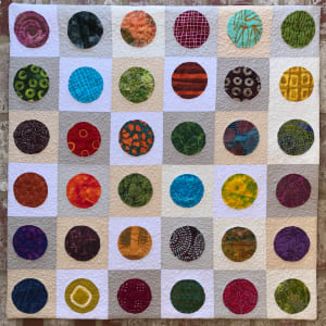 Petri Dishes