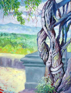 Wisteria  of the Biltmore Estate, Asheville