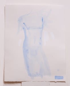 Torso