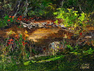 Ironstone Creek