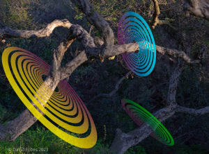 Canyon vision #1