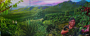 Madrone Coffee mural