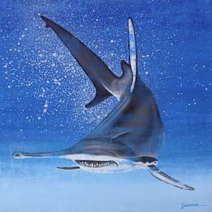 Vitamin SEA, Hammerhead Shark, Number 1