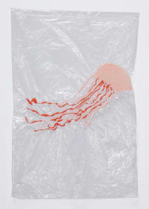 Jellyfish 003