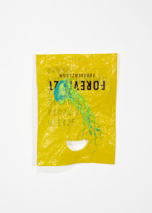 Jellyfish 025