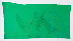 Ferns I