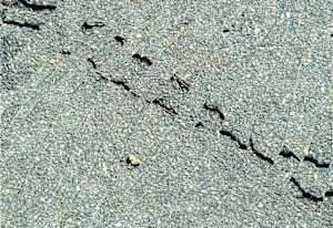 Cracked Pavement #2