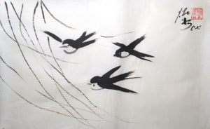 Swallows