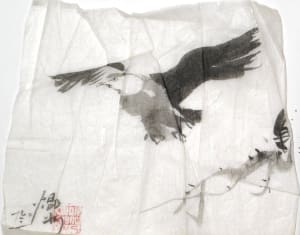 Flying Eagle